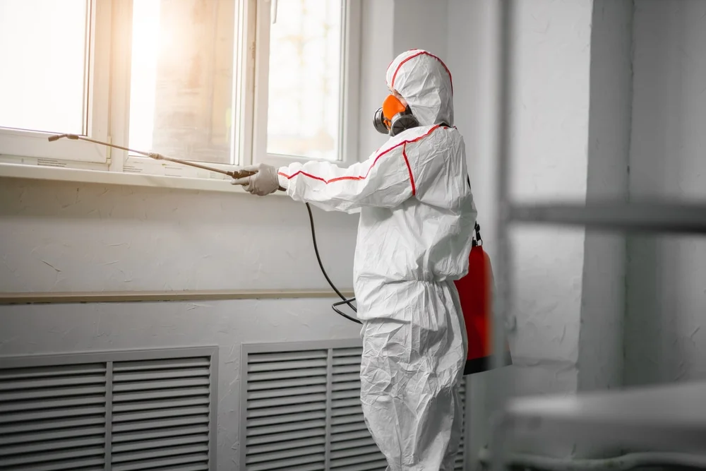 Professional mold remediation services in Groton, CT